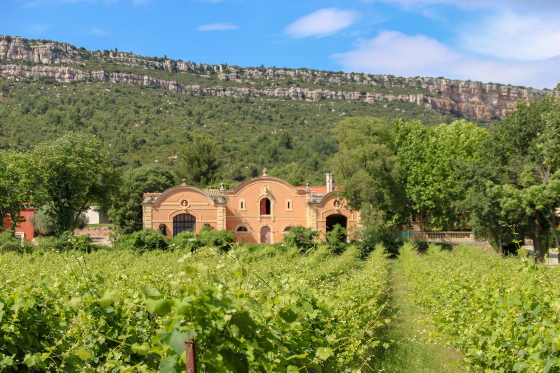 Vin Rosé Château de la Galinière - AOP Côtes de Provence