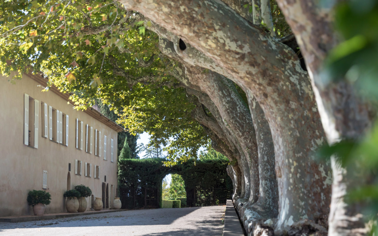 Château Sainte Roseline La Route des Vins de Provence