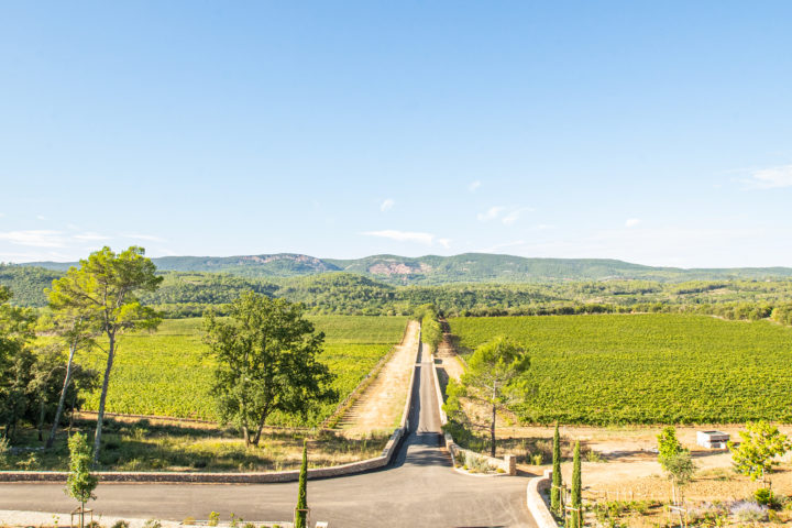 provence wine tour