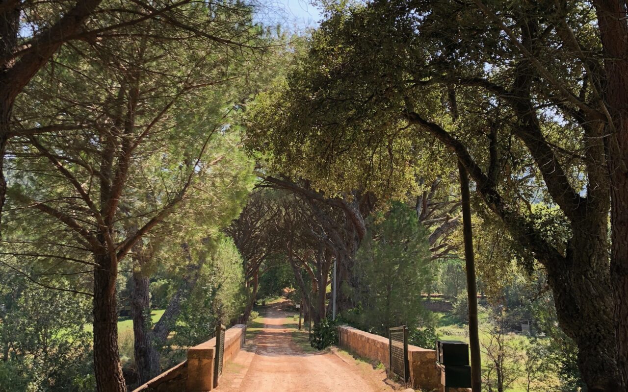 Domaine de la Portanière - La Route des Vins de Provence