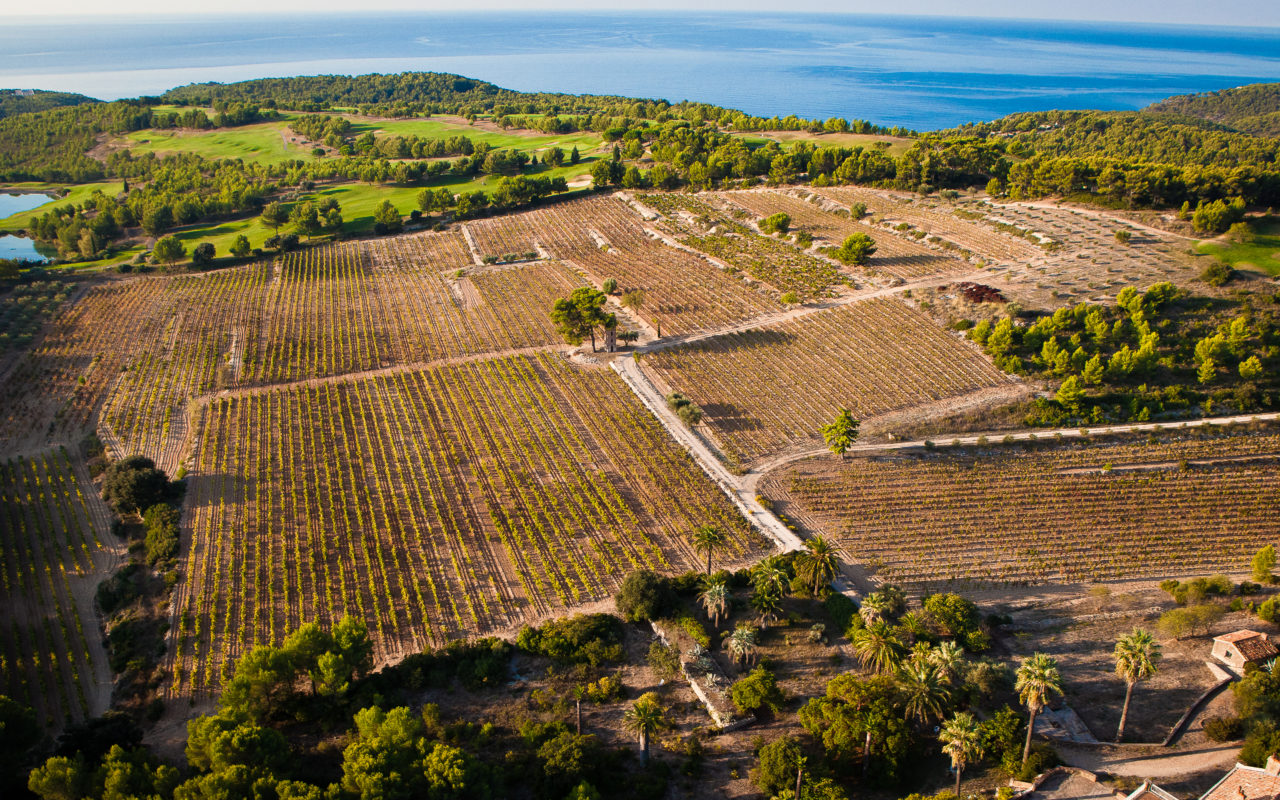 Domaine de Frégate La Route des Vins de Provence