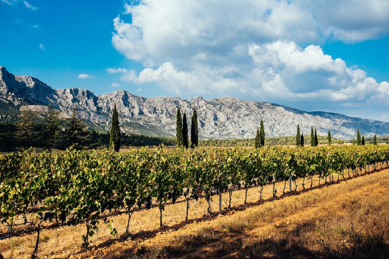 Vin Rosé Château de la Galinière - AOP Côtes de Provence