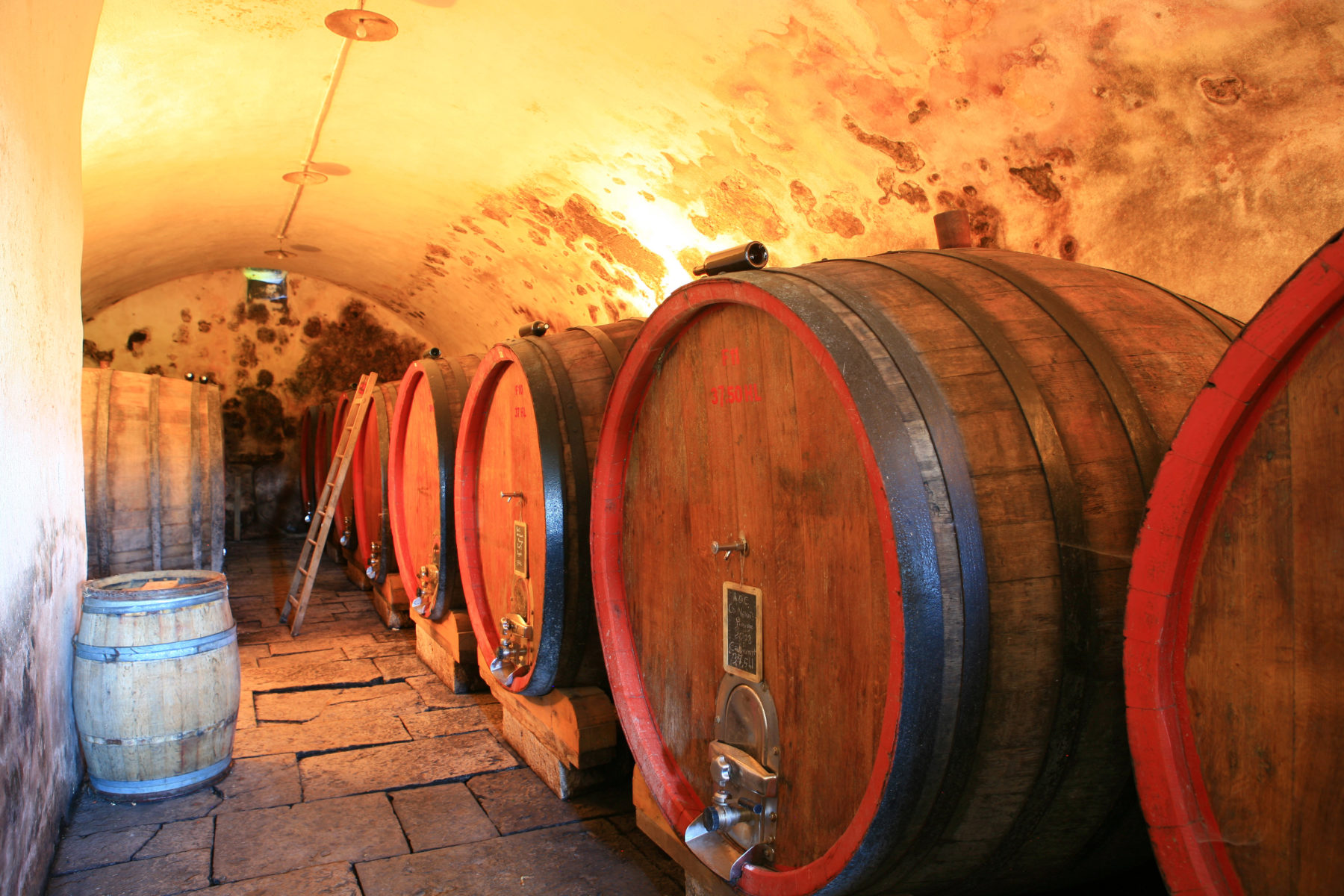 2018 Château des bertins - CellarTracker