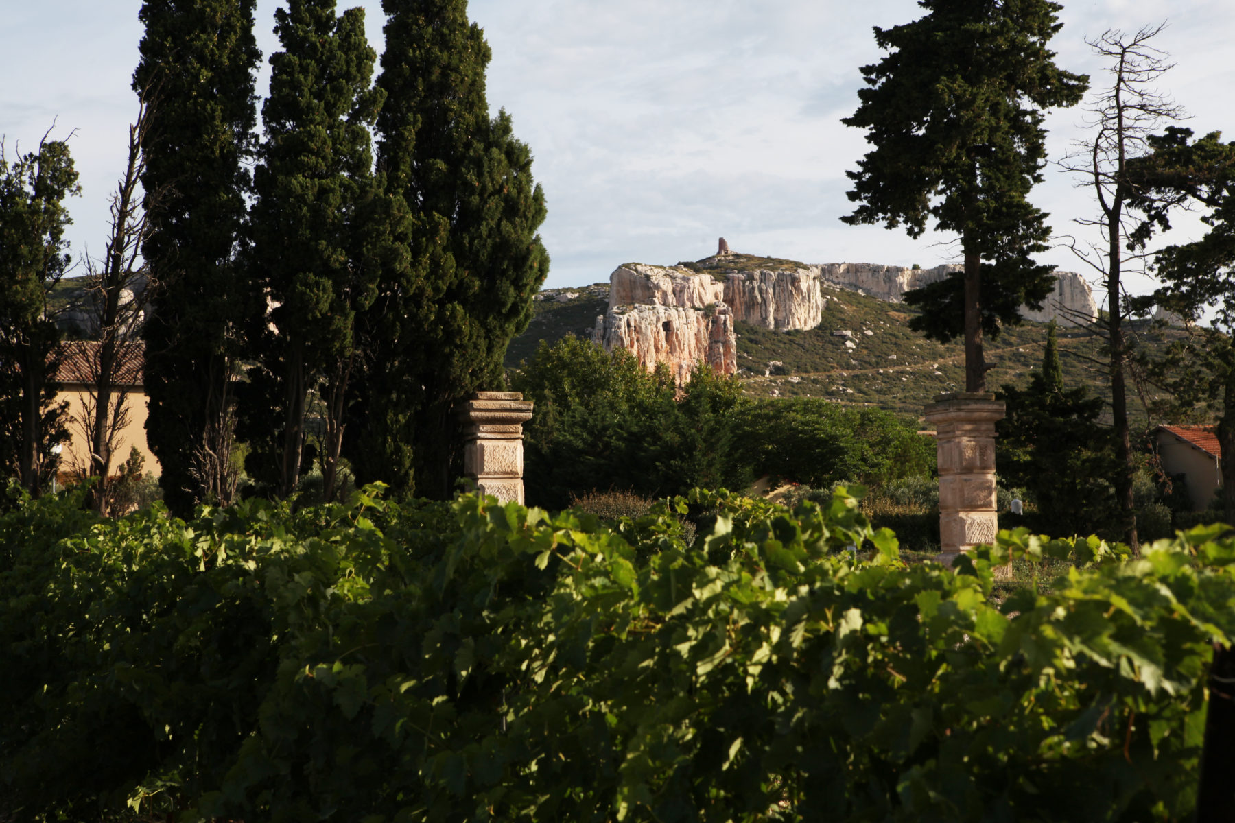 Chateau Calissanne La Route Des Vins De Provence