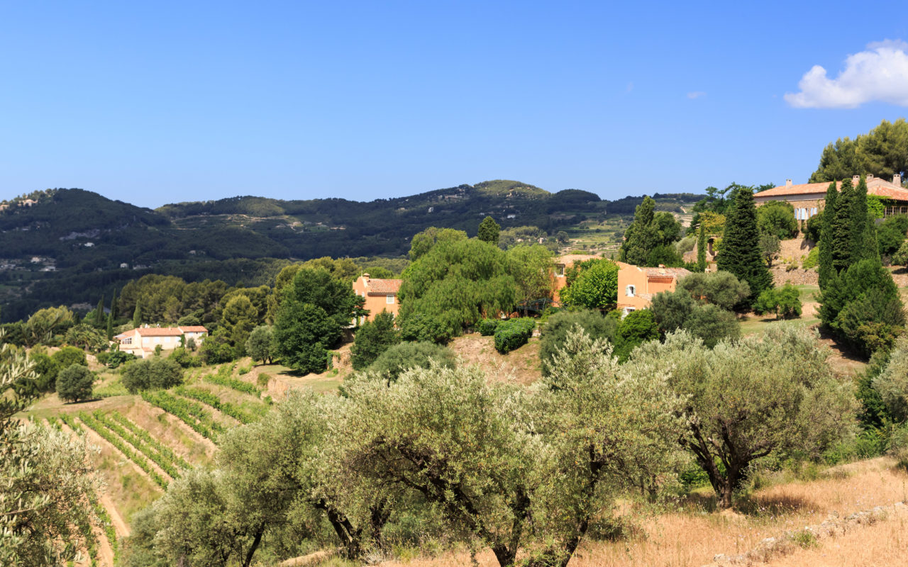Château Canadel La Route des Vins de Provence Château Canadel La Route des Vins de Provence