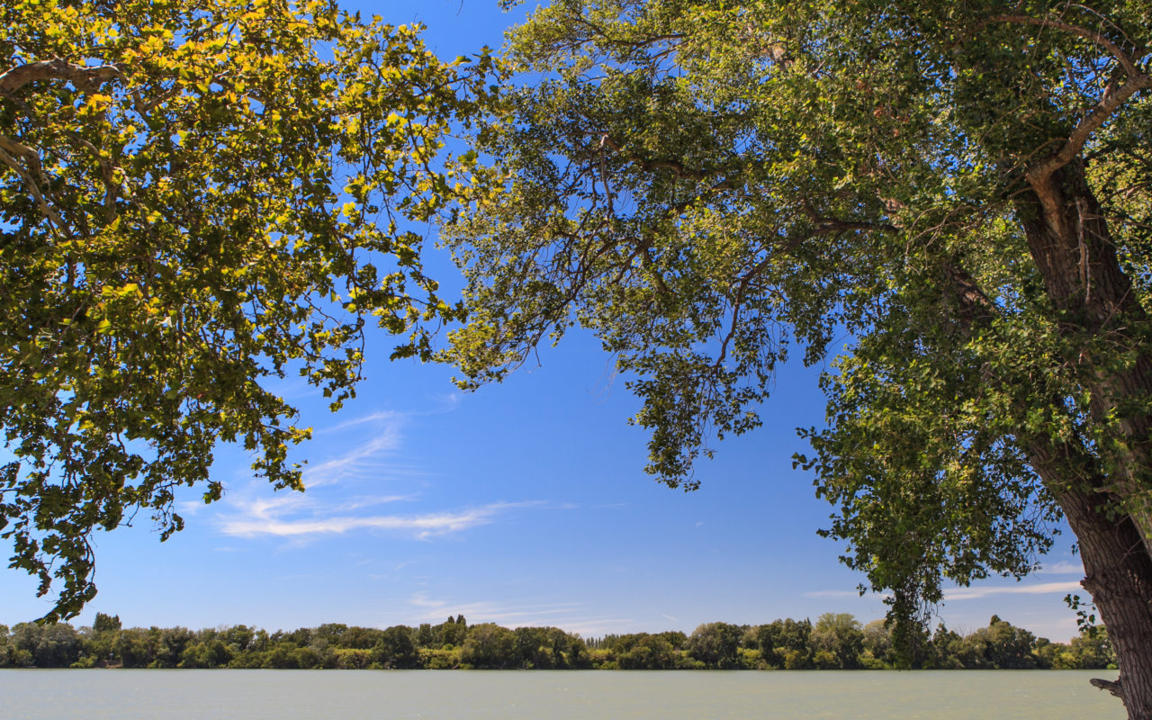 Domaine Isle Saint Pierre La Route des Vins de Provence