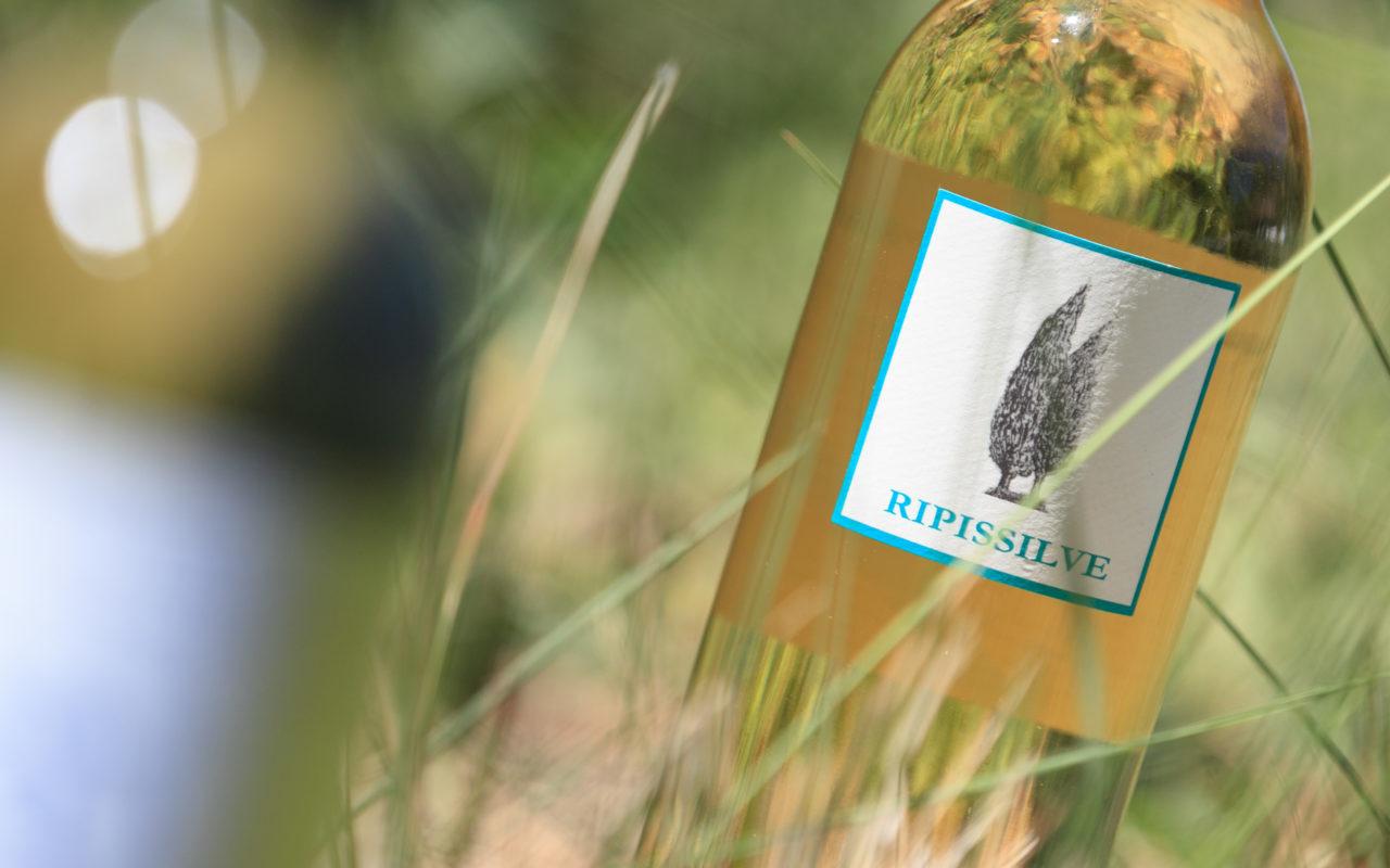 Domaine Isle Saint Pierre La Route des Vins de Provence