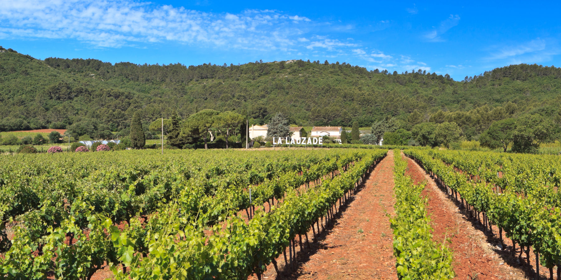 Château Lauzade - La Route des Vins de Provence