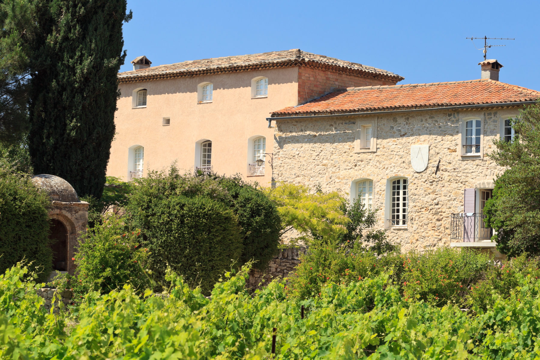 Château Saint-Baillon, le terroir de Marie Delon - Nice-Matin