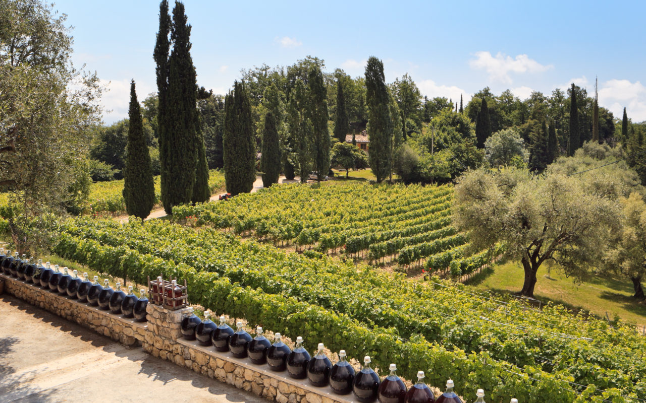 Vignoble des Hautes Collines de la Côte d'Azur La Route des Vins de