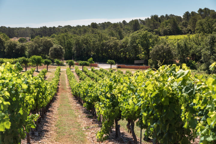 provence wine tour